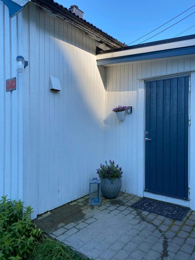 Kraemmervikveien 33 Ballstad Exteriér fotografie