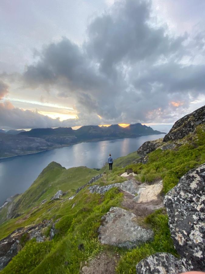 Kraemmervikveien 33 Ballstad Exteriér fotografie